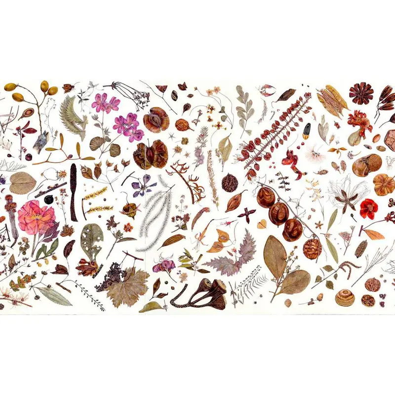 Artifact Puzzles - Rachel Pedder-Smith Herbarium