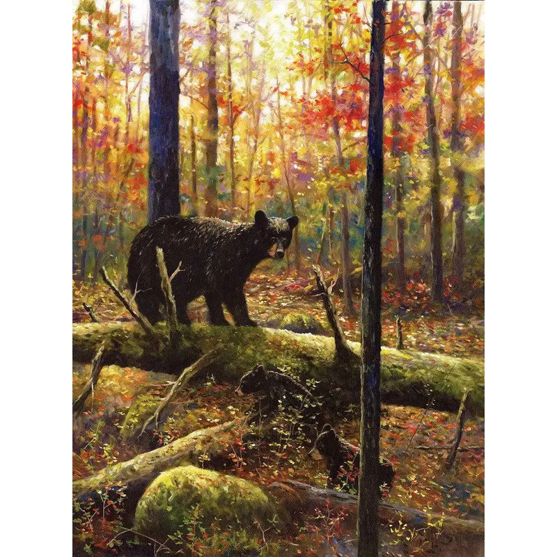 Artifact Puzzles - Robert Tino Out for Adventure