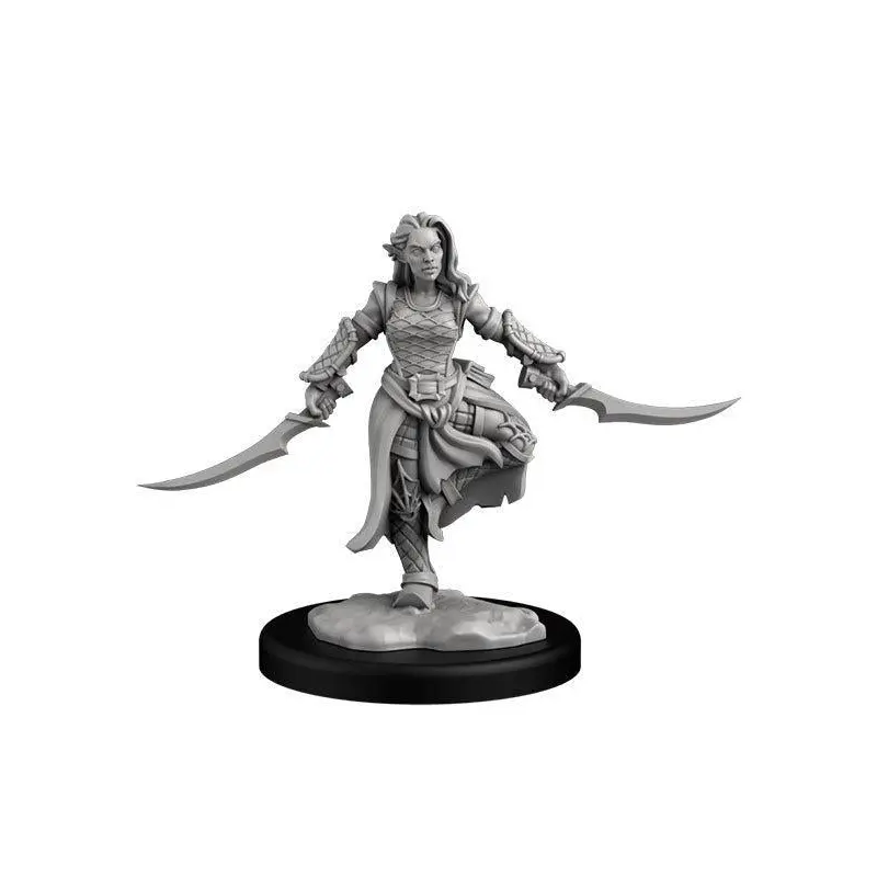 Drow Assassin & Drow Priestess