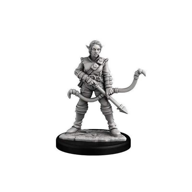 Elf Ranger & Sorcerer (PC Set)