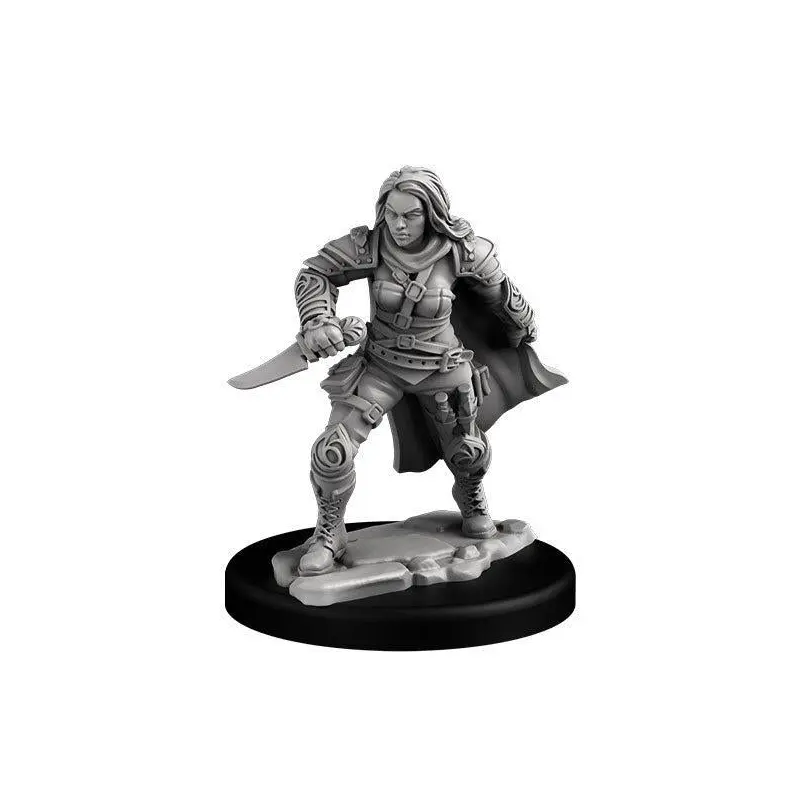 Human Rogue & Warrior (PC Set)