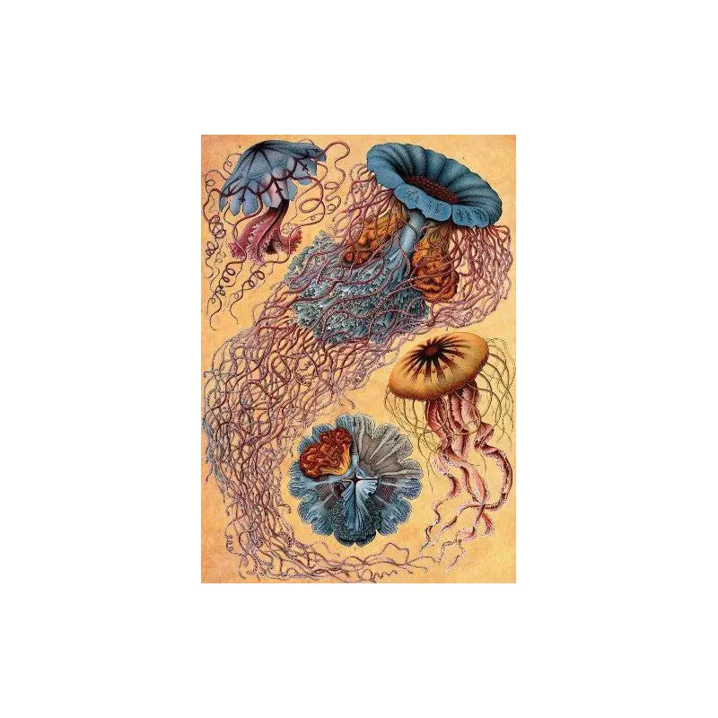 Artifact Puzzles - Haeckel Jellyfish