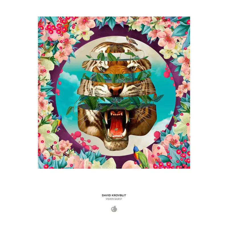 David Krovblit: Vision Quest (Pomegranate 1000pc)