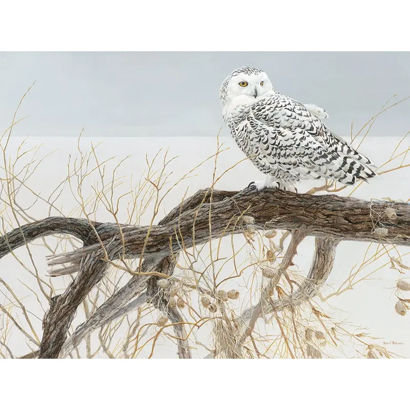 Cobble Hill Fallen Willow Snowy Owl 500pc Puzzle