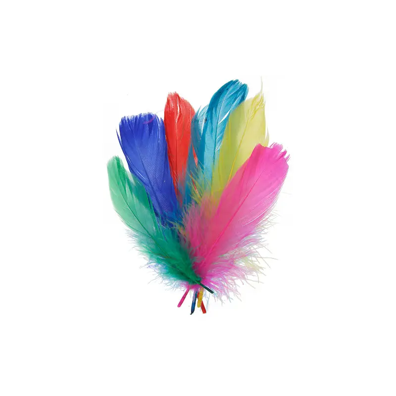 Goose Feathers 5-7in Multi Mix