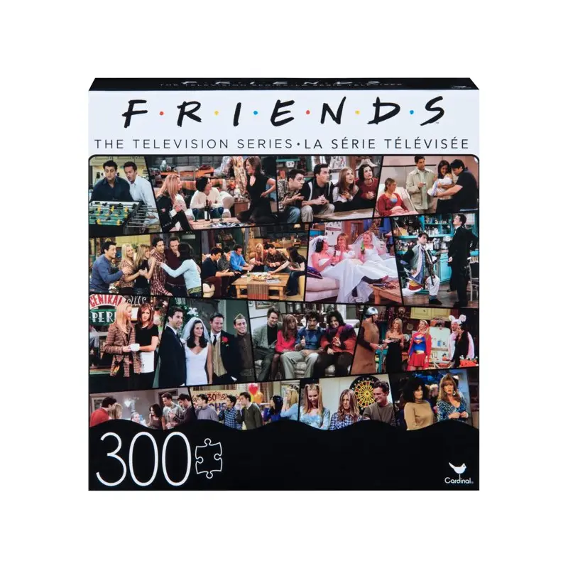 Spin Master Pop Culture Friends Puzzle, 300 Piece