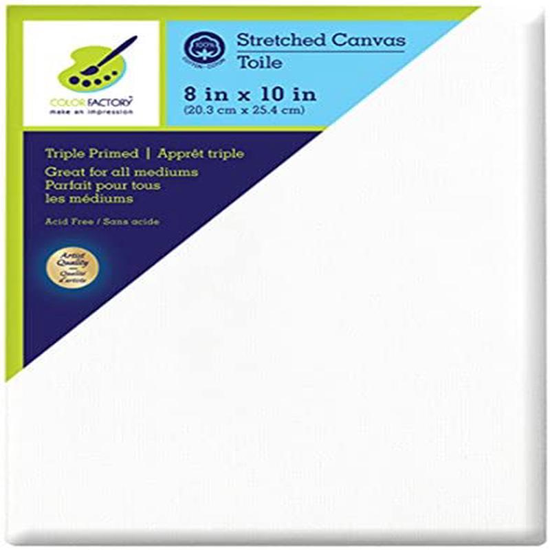 Color Factory 8inx10in Primed Stretch Artist Canvas