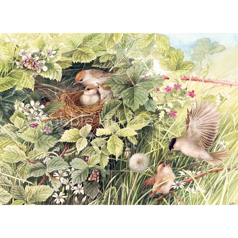 1000pc Puzzle Cobble Hill Hidden Nest