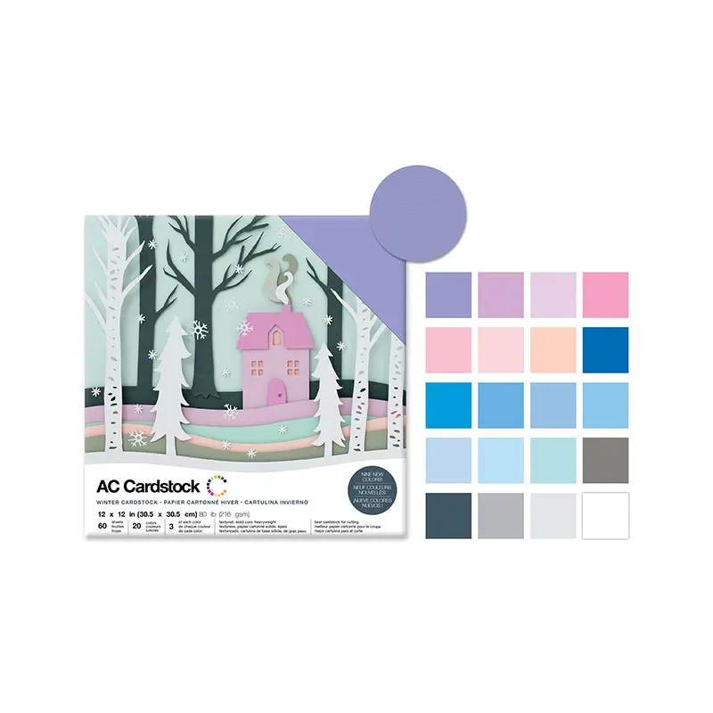 Scrapbook Cardstock: 12"x12" 80lb (216gsm) Textured  F) Winter