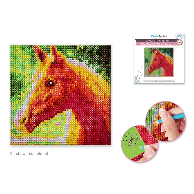 Craft Medley Kit: DIY Diamond Painting Kit