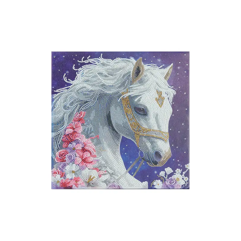 Craft Buddy Crystal Art Kit Mystic Beauty 30 x 30 cm Pre-Framed 5D Art Kit