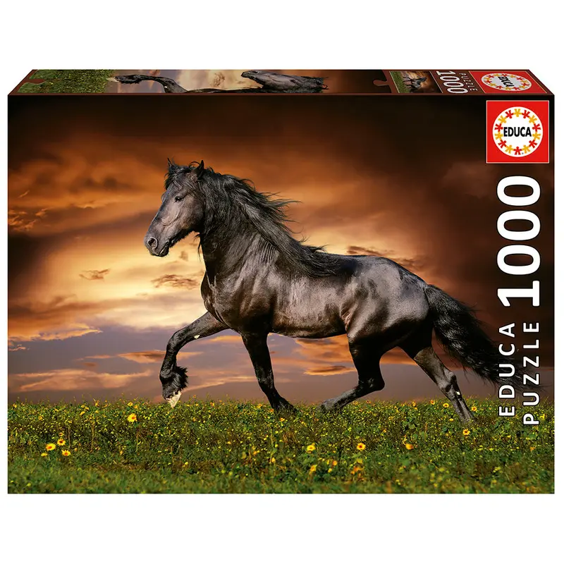 1000 pieces puzzle - Trotting horse
