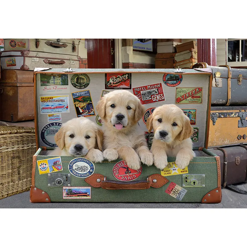 500 pieces puzzle - Puppies suitcase