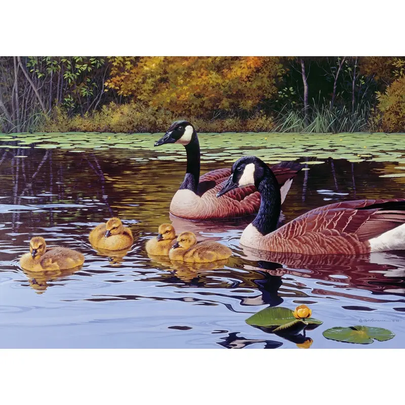 Platts Pond 1000Pc Puzzle