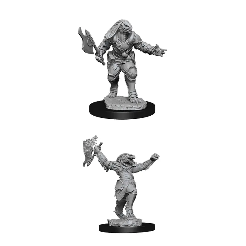 Nolzur's Marvelous Miniatures: Female Dragonborn Fighter