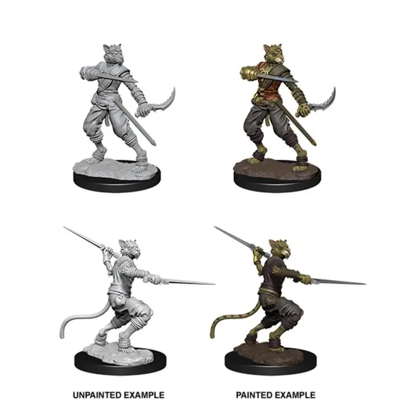 Nolzur's Marvelous Miniatures: Male Tabaxi Rogue