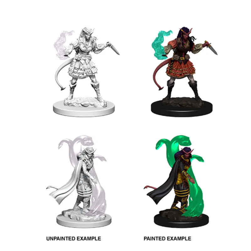 Nolzur's Marvelous Miniatures: Tiefling Female Sorcerer