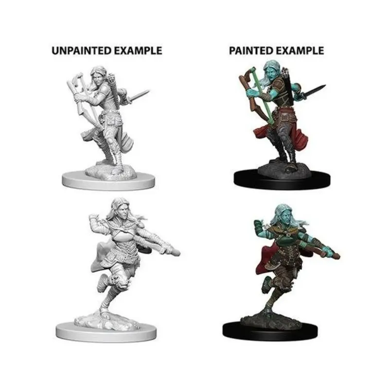 NOLZUR'S MARVELOUS UNPAINTED MINIATURES: AIR GENASI FEMALE ROGUE