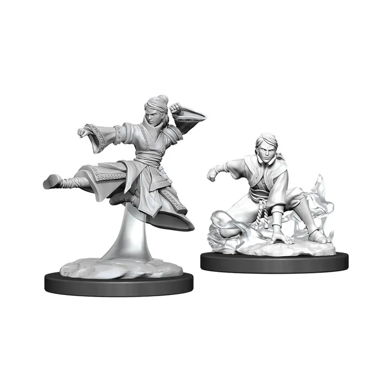 Nolzur's Marvelous Miniatures: Female Human Monk