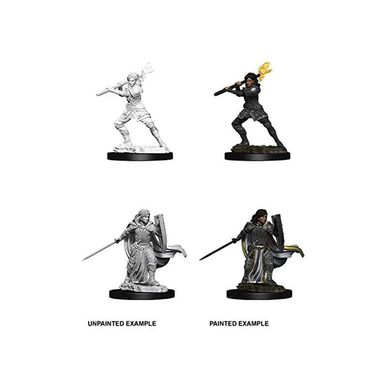 NOLZUR'S MARVELOUS UNPAINTED MINIATURES: FEMALE HUMAN PALADIN