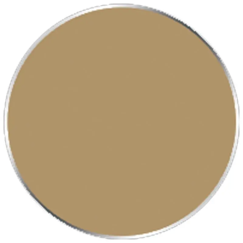 P3 Paints: Beast Hide 93056