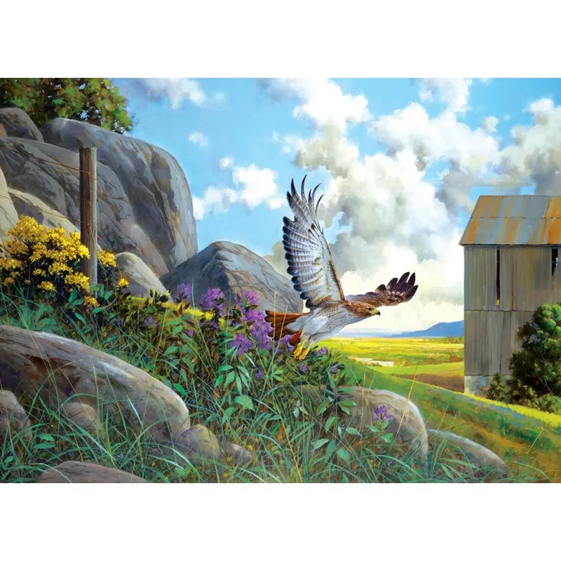 500pc Puzzle Cobble Hill Take Off