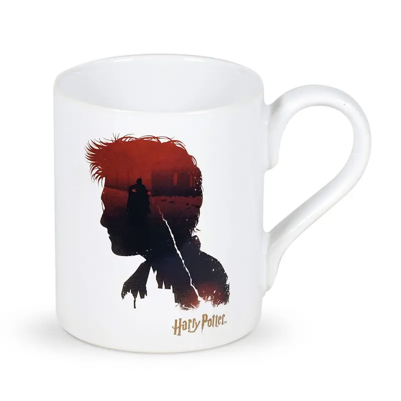 Wizarding World of Harry Potter Harry Potter - Harry Potter Good vs Evil Mug