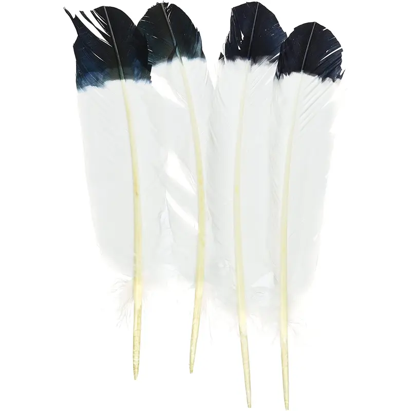 Tandy Leather Large Brim Feathers Slanted 4 / PK 5197-00