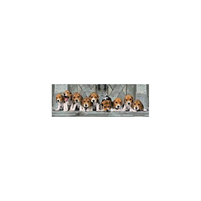 Beagles - 1000 pcs - Panorama Puzzle