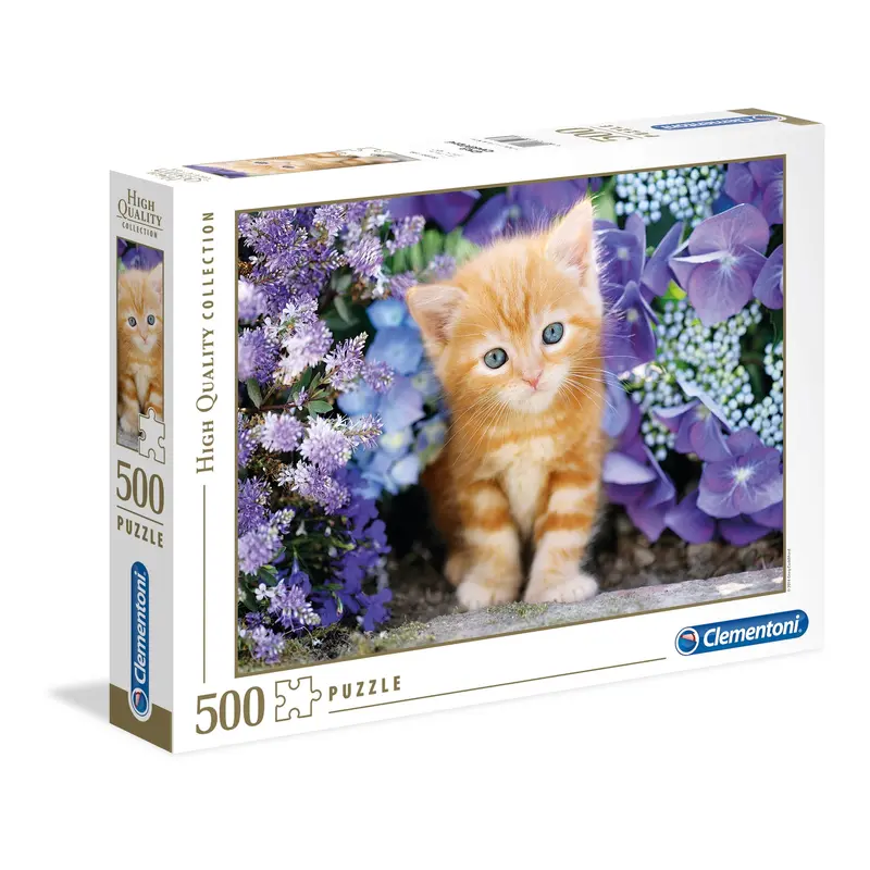 Ginger cat - 500 pcs - High Quality Collection