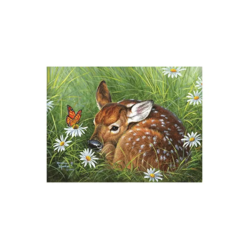 Natural Tranquility 1000