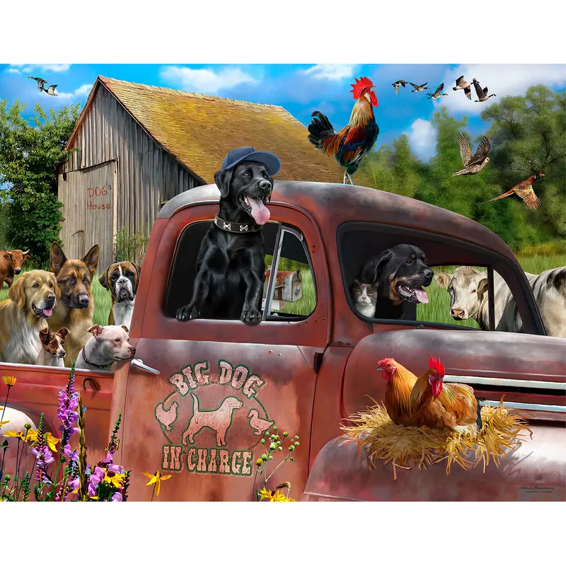 Big Dog in Charge 1000+