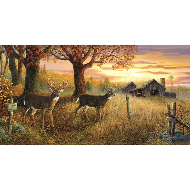 Unknown Sanctuary 1000