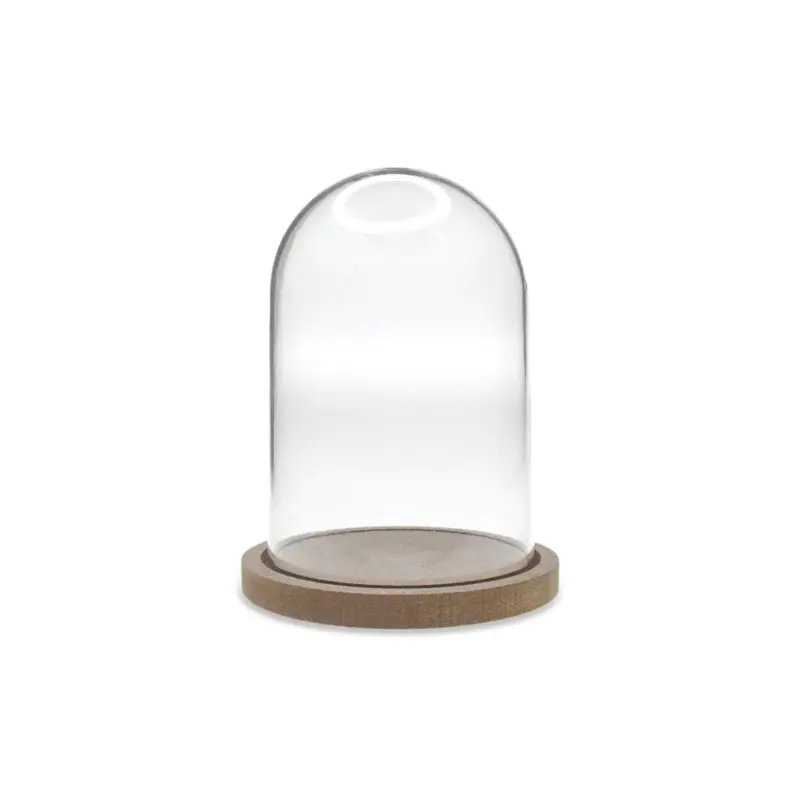 Craft Dcor: 12cmx8cm DIY Clear Plastic Dome w/Wood Base