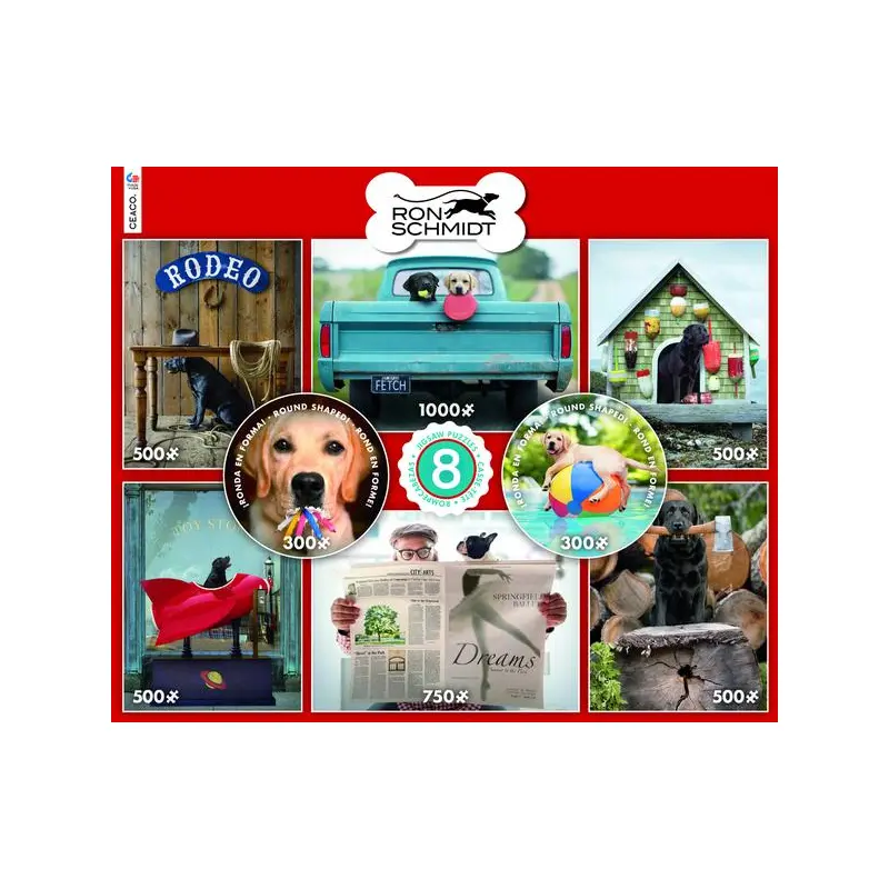 RON SCHMIDT 8 IN 1 PUZZLE SET