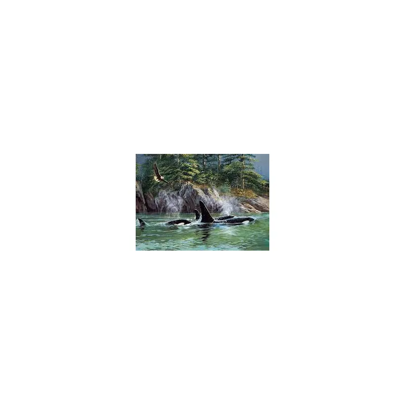 Cobble Hill 1000pc Puzzle - Orcas