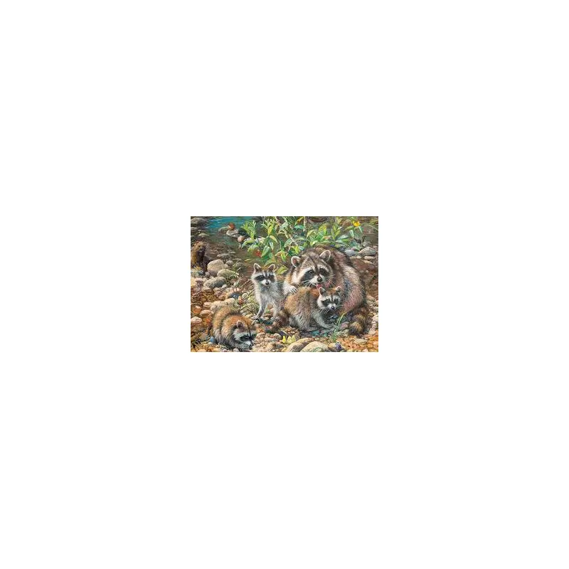 Cobble Hill 350pc Puzzle - Raccoon Family (Family)