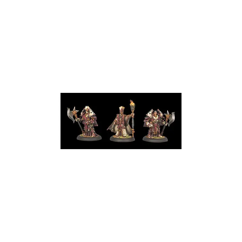 Warmachine: Protectorate of Menoth: Visgoth Juviah Rhoven & Honor Guard 32056