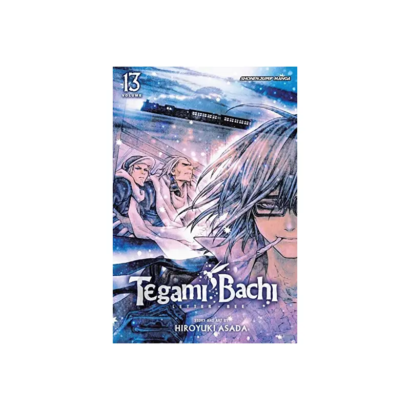 TEGAMI BACHI, VOL. 13: A DISTRICT CALLED KAGEROU
