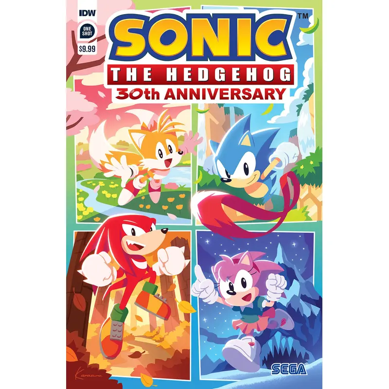 Sonic the Hedgehog: 30th Anniversary Special