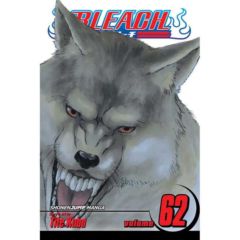 Bleach, Vol. 62