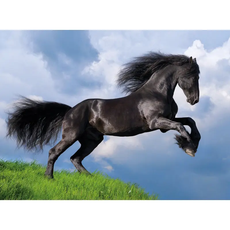Fresian Black Horse - 500 pcs - High Quality Collection