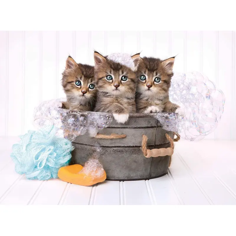 Kittens and soap - 500 pcs - High Quality Collection