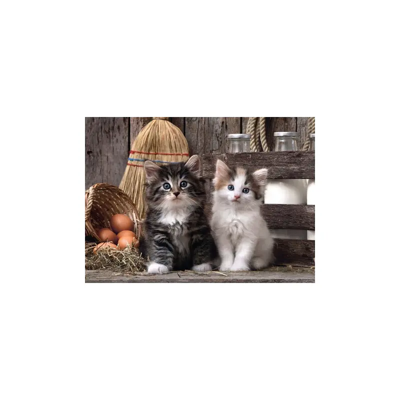 Lovely kittens - 1000 pcs - High Quality Collection